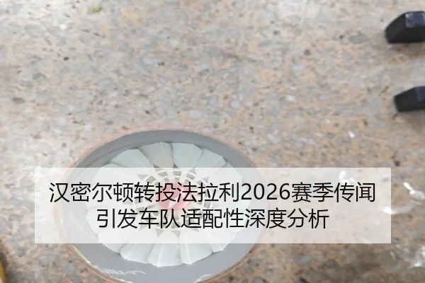 han-mi-er-dun-zhuan-tou-fa-la-li-sai-ji-chuan-wen-yin-fa-che-dui-shi-pei-xing-shen-du-fen-xi-3-691.jpg